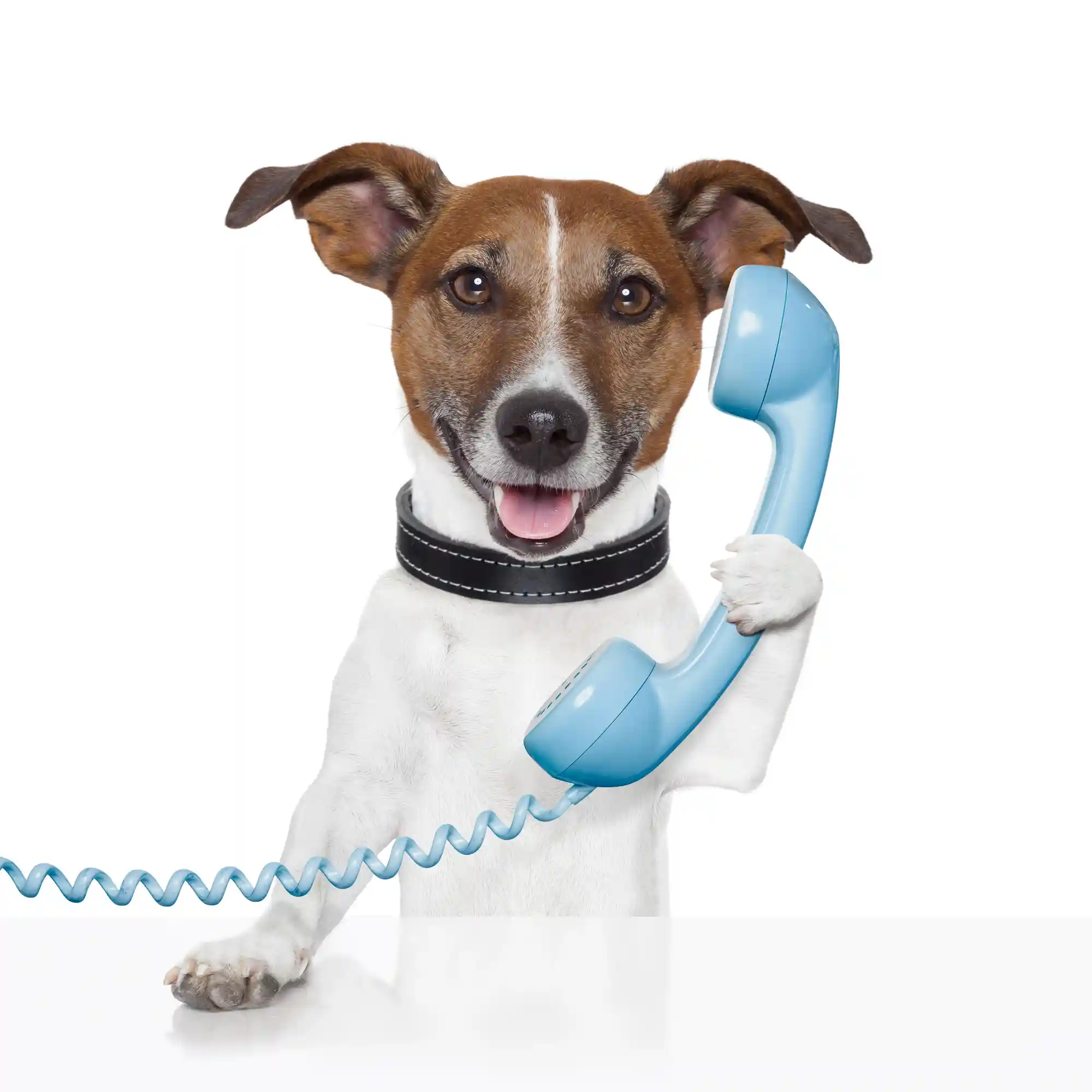 elite customer service elite customer service